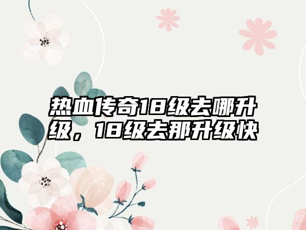 热血传奇18级去哪升级，18级去那升级快