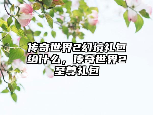 传奇世界2幻境礼包给什么，传奇世界2至尊礼包