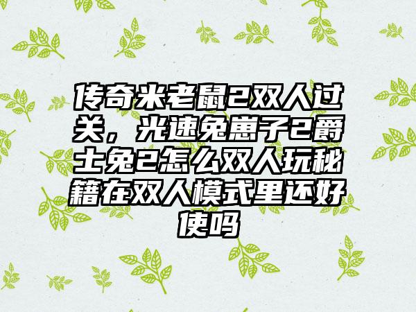 传奇米老鼠2双人过关，光速兔崽子2爵士兔2怎么双人玩秘籍在双人模式里还好使吗