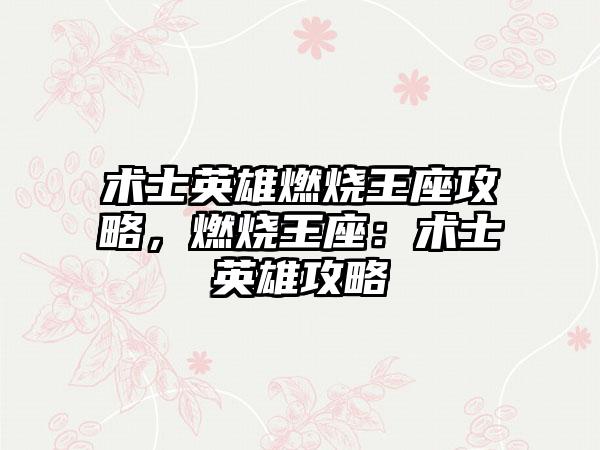 术士英雄燃烧王座攻略，燃烧王座：术士英雄攻略