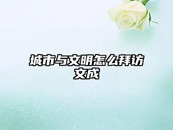 城市与文明怎么拜访文成