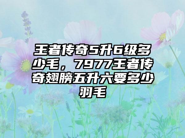 王者传奇5升6级多少毛，7977王者传奇翅膀五升六要多少羽毛