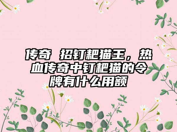 传奇 招钉耙猫王，热血传奇中钉耙猫的令牌有什么用额