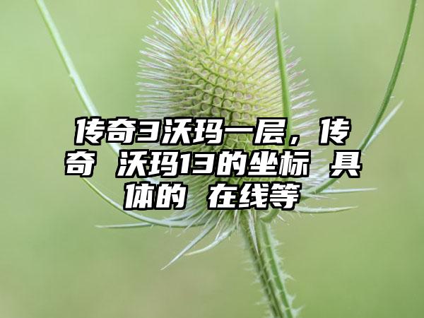 传奇3沃玛一层，传奇 沃玛13的坐标 具体的 在线等