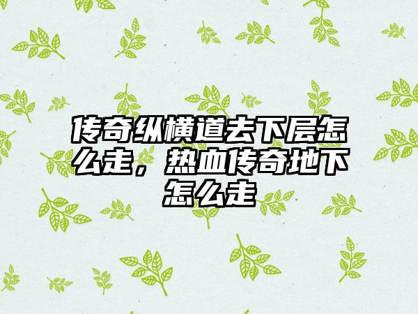 传奇纵横道去下层怎么走，热血传奇地下怎么走