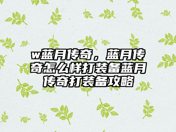 w蓝月传奇，蓝月传奇怎么样打装备蓝月传奇打装备攻略