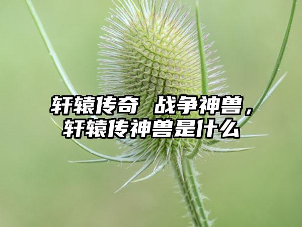 轩辕传奇 战争神兽，轩辕传神兽是什么