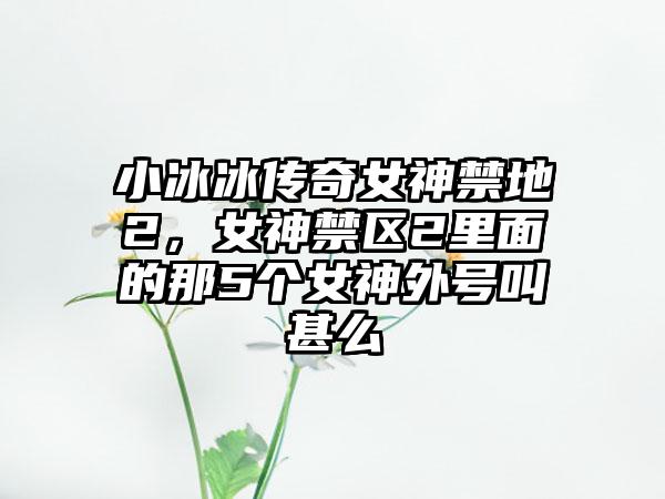 小冰冰传奇女神禁地2，女神禁区2里面的那5个女神外号叫甚么