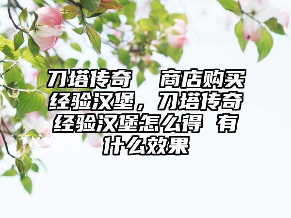 刀塔传奇  商店购买经验汉堡，刀塔传奇经验汉堡怎么得 有什么效果