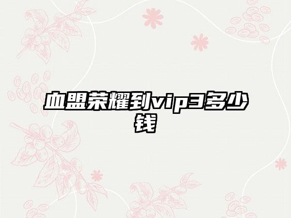 血盟荣耀到vip3多少钱