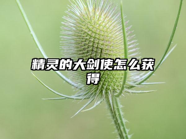 精灵的大剑使怎么获得