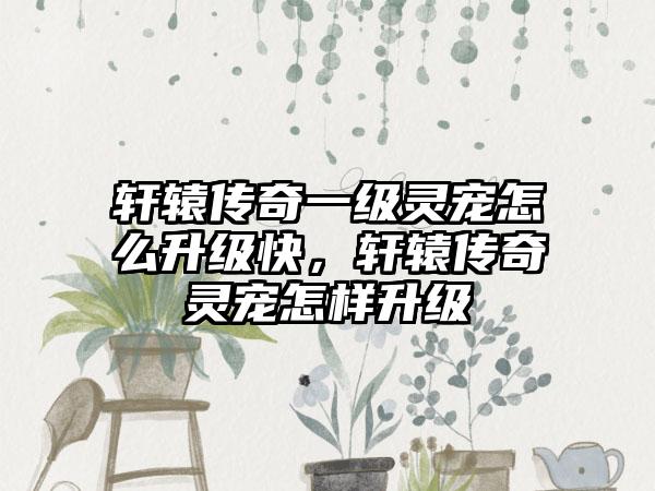 轩辕传奇一级灵宠怎么升级快，轩辕传奇灵宠怎样升级