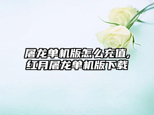 屠龙单机版怎么充值,红月屠龙单机版下载