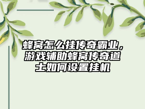 蜂窝怎么挂传奇霸业，游戏辅助蜂窝传奇道士如何设置挂机