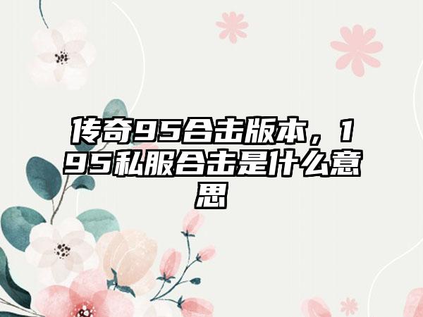 传奇95合击版本，195私服合击是什么意思