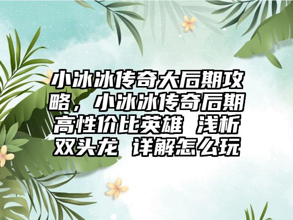 小冰冰传奇大后期攻略，小冰冰传奇后期高性价比英雄 浅析双头龙 详解怎么玩