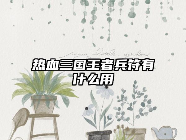 热血三国王者兵符有什么用