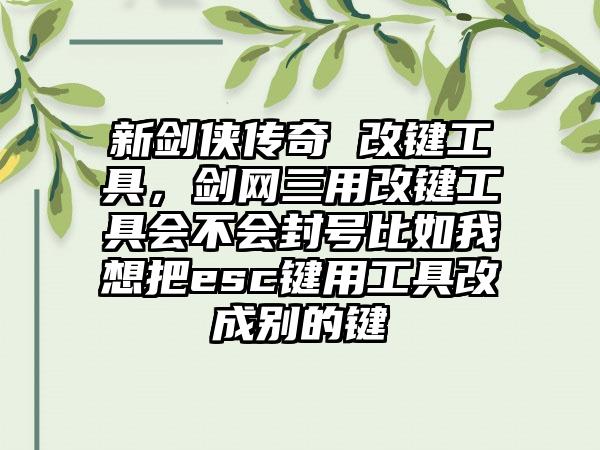 新剑侠传奇 改键工具，剑网三用改键工具会不会封号比如我想把esc键用工具改成别的键