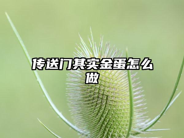 传送门其实金蛋怎么做