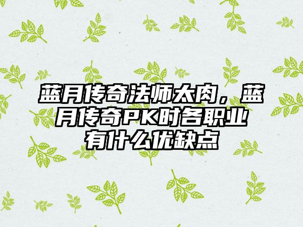 蓝月传奇法师太肉，蓝月传奇PK时各职业有什么优缺点