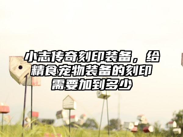 小志传奇刻印装备，给精食宠物装备的刻印需要加到多少