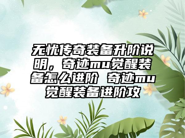 无忧传奇装备升阶说明，奇迹mu觉醒装备怎么进阶 奇迹mu觉醒装备进阶攻