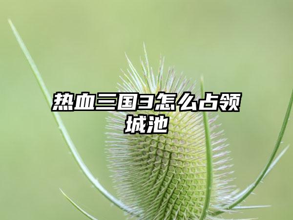 热血三国3怎么占领城池