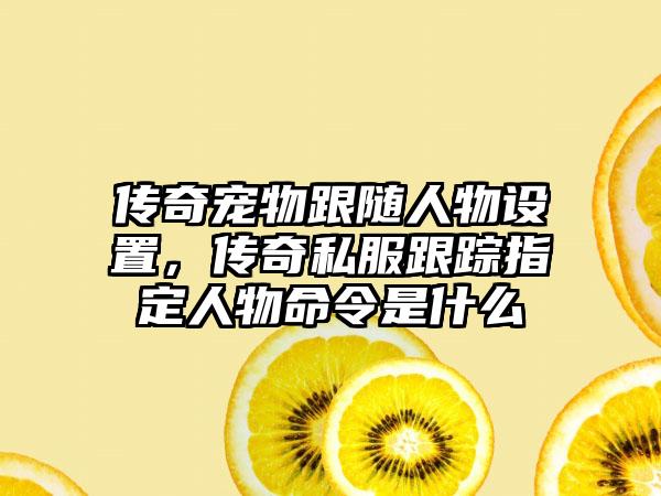 传奇宠物跟随人物设置，传奇私服跟踪指定人物命令是什么