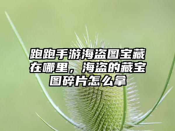 跑跑手游海盗图宝藏在哪里，海盗的藏宝图碎片怎么拿