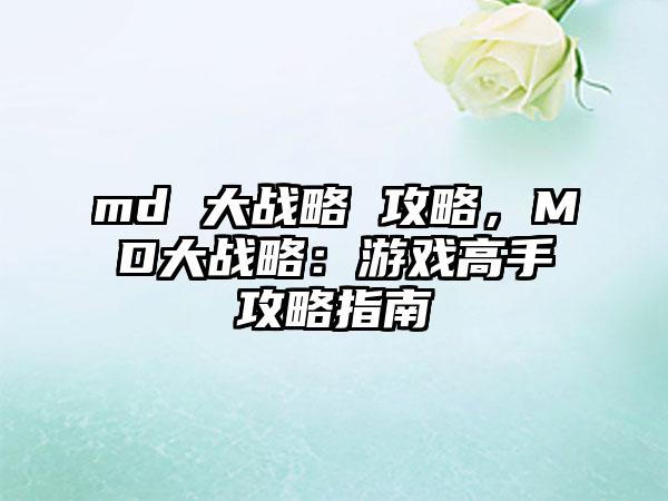 md 大战略 攻略，MD大战略：游戏高手攻略指南