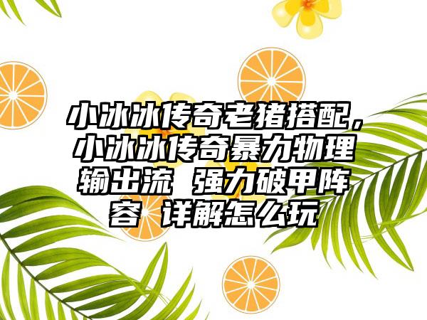 小冰冰传奇老猪搭配，小冰冰传奇暴力物理输出流 强力破甲阵容 详解怎么玩