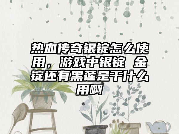 热血传奇银锭怎么使用，游戏中银锭 金锭还有黑莲是干什么用啊