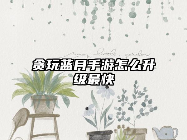 贪玩蓝月手游怎么升级最快