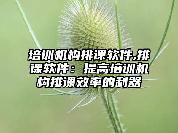 培训机构排课软件,排课软件：提高培训机构排课效率的利器