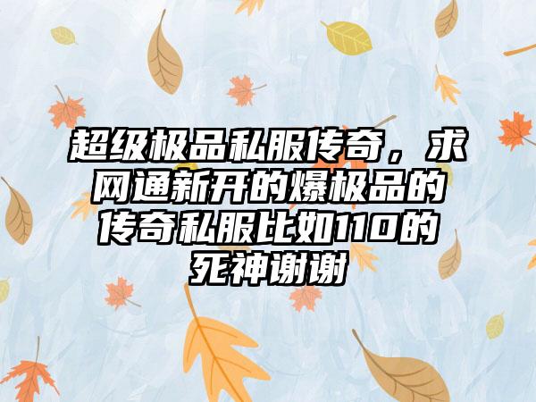 超级极品私服传奇，求网通新开的爆极品的传奇私服比如110的死神谢谢