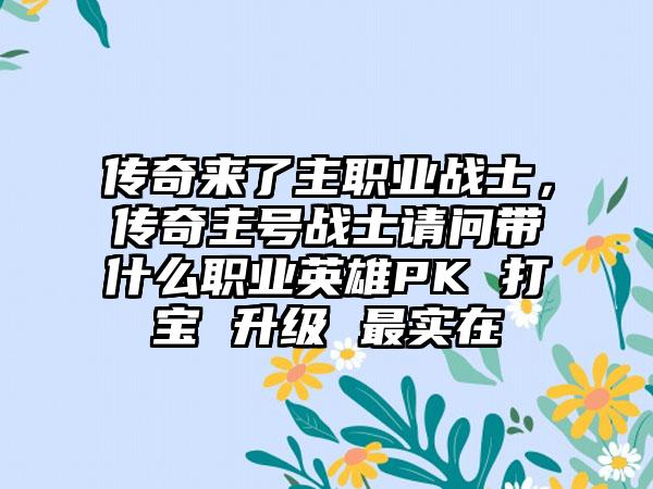 传奇来了主职业战士，传奇主号战士请问带什么职业英雄PK 打宝 升级 最实在