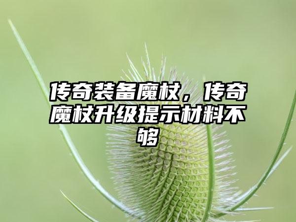 传奇装备魔杖，传奇魔杖升级提示材料不够