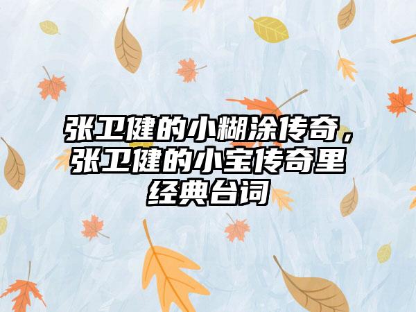 张卫健的小糊涂传奇，张卫健的小宝传奇里经典台词