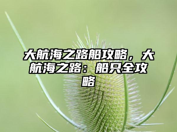 大航海之路船攻略，大航海之路：船只全攻略