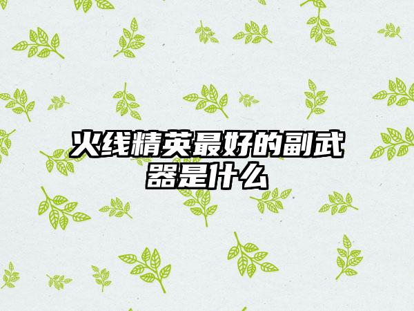 火线精英最好的副武器是什么