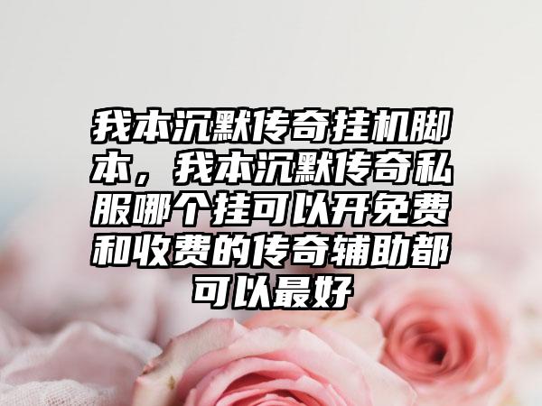 我本沉默传奇挂机脚本，我本沉默传奇私服哪个挂可以开免费和收费的传奇辅助都可以最好