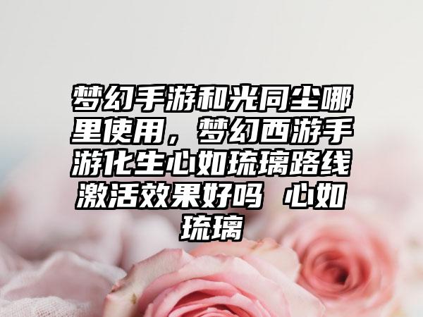 梦幻手游和光同尘哪里使用，梦幻西游手游化生心如琉璃路线激活效果好吗 心如琉璃