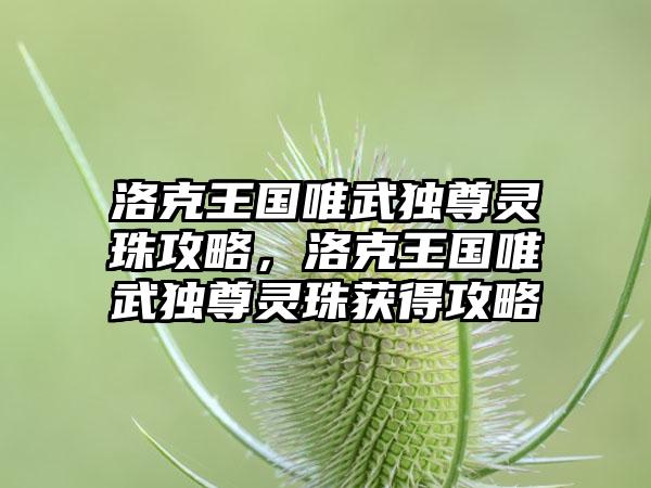 洛克王国唯武独尊灵珠攻略，洛克王国唯武独尊灵珠获得攻略