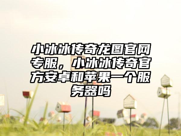 小冰冰传奇龙图官网专服，小冰冰传奇官方安卓和苹果一个服务器吗