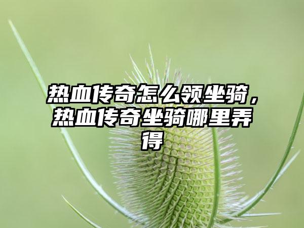 热血传奇怎么领坐骑，热血传奇坐骑哪里弄得