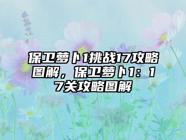 保卫萝卜1挑战17攻略图解，保卫萝卜1：17关攻略图解