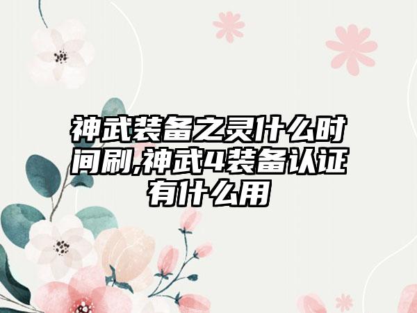 神武装备之灵什么时间刷,神武4装备认证有什么用