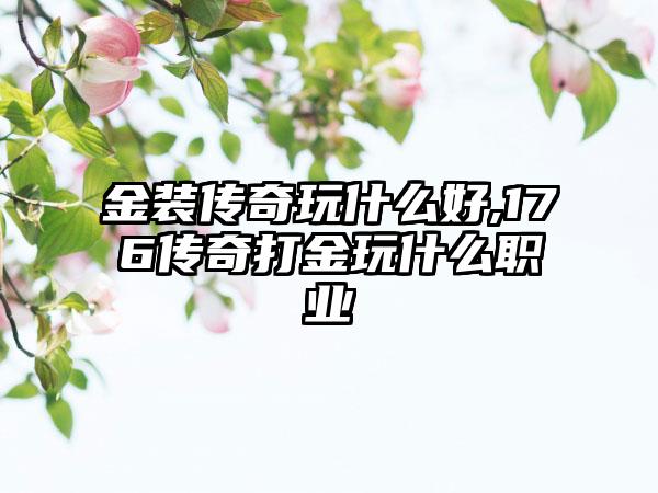 金装传奇玩什么好,176传奇打金玩什么职业