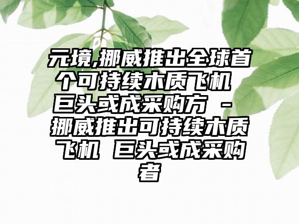 元境,挪威推出全球首个可持续木质飞机 巨头或成采购方 - 挪威推出可持续木质飞机 巨头或成采购者