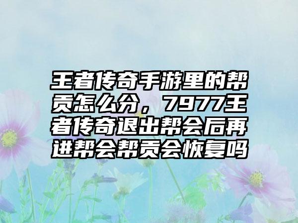 王者传奇手游里的帮贡怎么分，7977王者传奇退出帮会后再进帮会帮贡会恢复吗